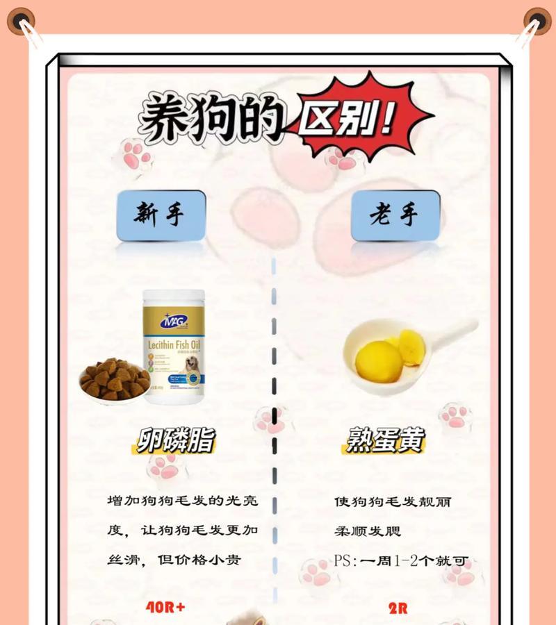 狗狗的饮食习惯与拉稀问题探讨（探究狗狗吃多是否会引起拉稀，以及如何正确喂养）