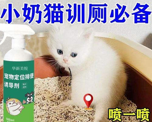 如何解决猫咪乱拉乱尿问题（15个技巧让你的猫咪远离乱拉乱尿困扰）