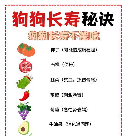 狗狗肝脏的功能与治疗方法（了解狗狗肝脏的重要功能和如何治疗肝炎）