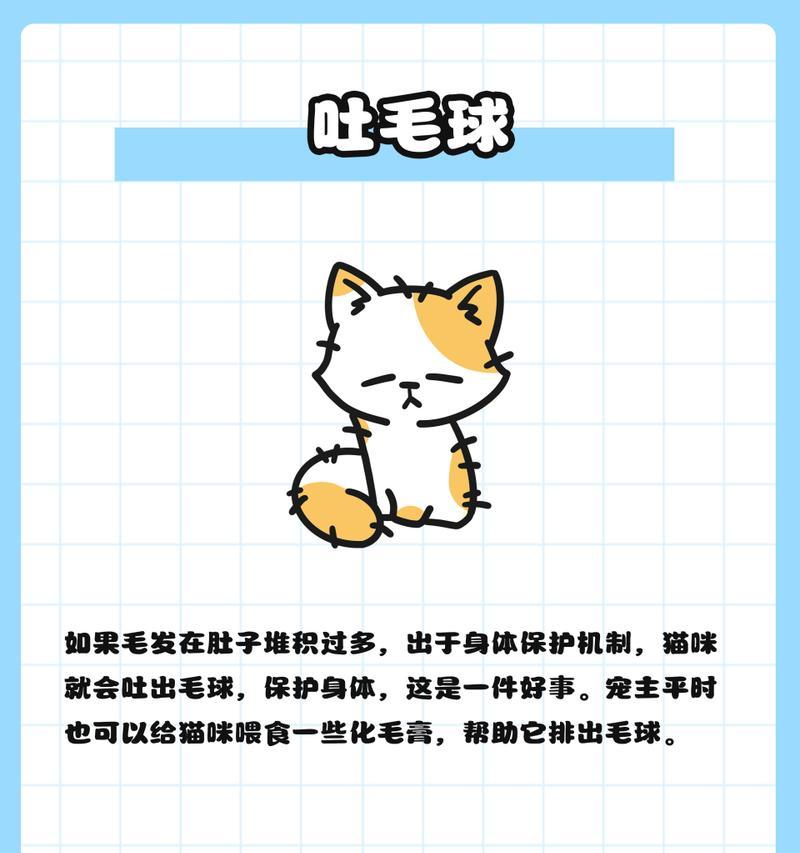猫咪经常呕吐的5种常见原因（为什么你的猫咪总是呕吐？了解这5种常见原因）