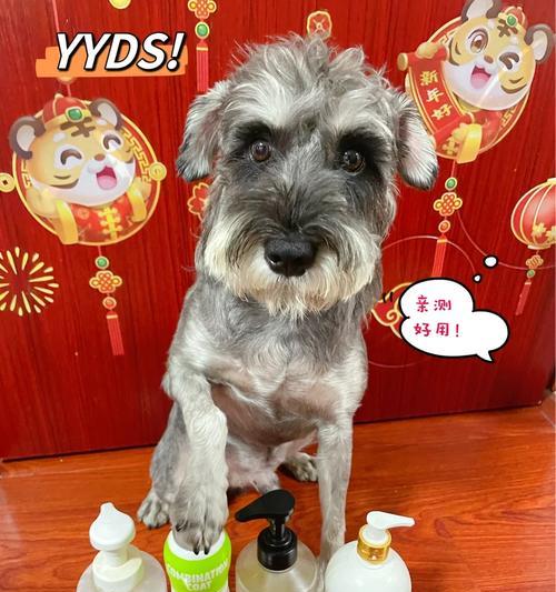 给狗狗洗澡（了解宠物的需要，为你的狗狗选择适合的沐浴露）
