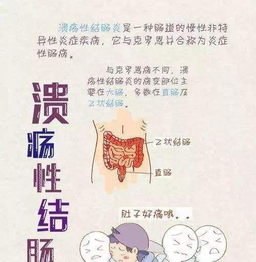 科普篇（了解狗狗肠胃炎的症状、治疗和预防）