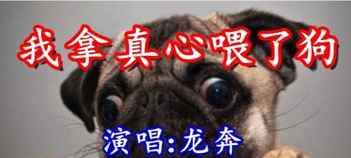 宠物狗的牙齿掉落期间的护理指南（狗狗掉牙时需要注意的事项及饮食建议）