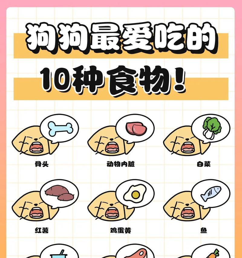 人类食物中适合狗狗食用的10种选择（了解哪些人类食物可以给狗狗食用，给它们带来健康和喜悦）