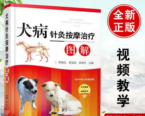 狗狗生病了怎么办？（4种疾病在家治疗比去宠物医院靠谱）