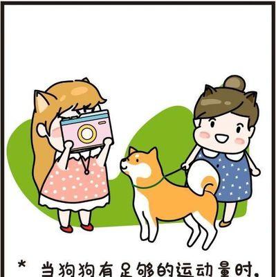狗狗翻肚皮的含义与解读（揭秘狗狗翻肚皮行为的真相，铲屎官别傻傻不知道！）