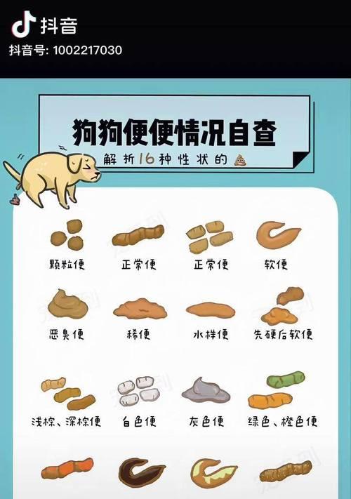 通过狗狗的便便判断其健康状况（狗狗健康指标解读与保护）