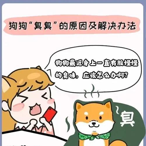 如何解决狗狗拉大便的臭味问题？（原因分析及有效的解决方法）