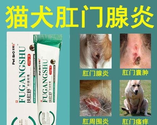 挑选狗狗体外驱虫药，避免花冤枉钱（在购买前，了解这些关键信息，确保钱花得值）