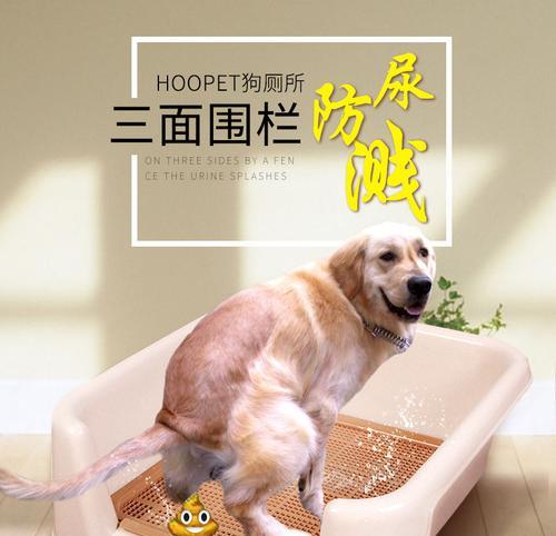 拉布拉多犬如何正确上厕所（训练方法和技巧，让你的狗狗变得更懂规矩）