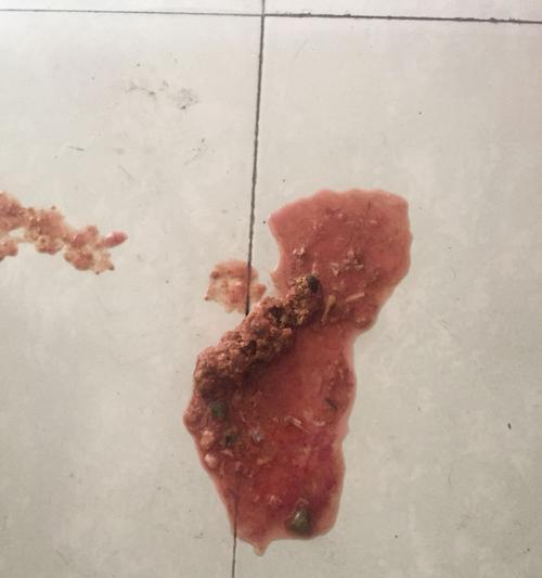 狗狗大便有血粘液是怎么回事？（了解狗狗大便出现血粘液的原因及处理方法）
