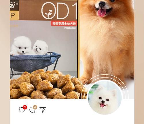 如何给博美幼犬提供最佳的饮食？（养育健康的博美幼犬需要注意的饮食细节。）