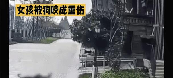狗突然咬人连主人也咬——探究原因与预防方法（揭开狗咬人事件背后的秘密，保护自己和宠物的安全）
