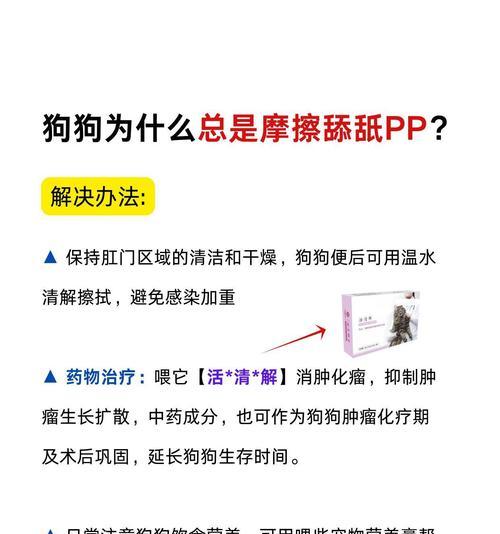 狗为何总喜欢舔自己身上？（解密狗狗舔身体的原因和意义）