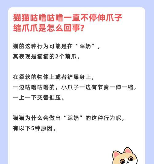 小猫总踩奶的原因及解析（揭秘小猫踩奶的行为背后的秘密）