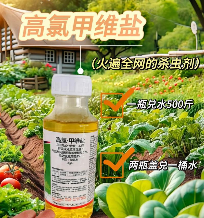 选择合适的驱虫方法保护家庭健康（探索最有效的驱虫方式，打造安全无虫的家园）