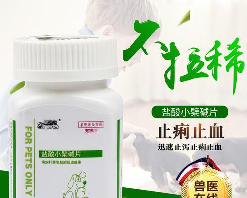 狗吐要吃什么药？（了解适合狗吐的药物治疗方法及安全性。）