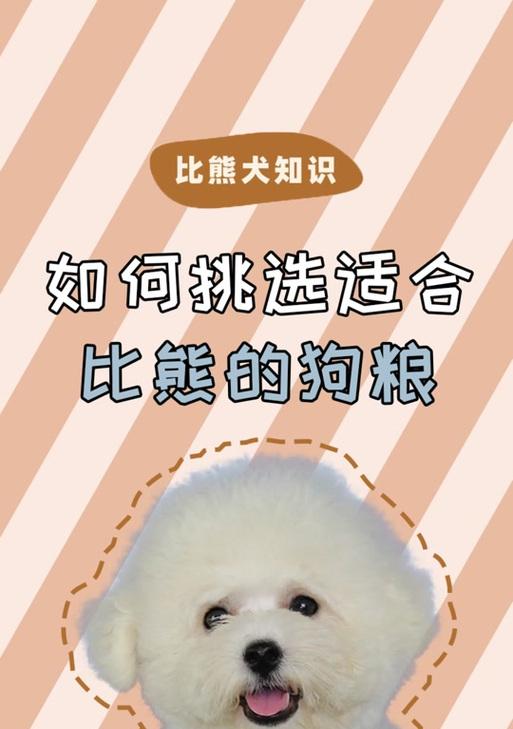 比熊刚生完需要注意的饮食及护理方法（新妈妈比熊的营养需求和健康恢复）