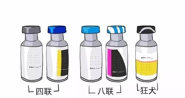 解读婴儿六联疫苗的意义与作用（保护宝宝免受常见传染病的侵害，）
