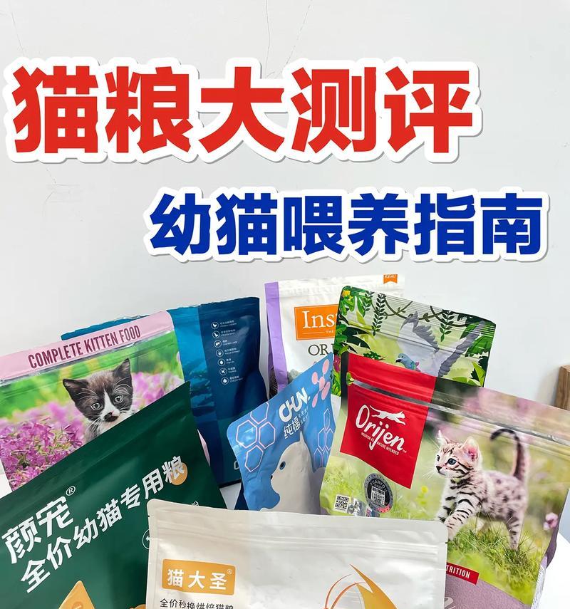 如何科学喂养两个月大的幼猫？（营养均衡饮食方案，助您培养健康活泼的猫咪宝宝）