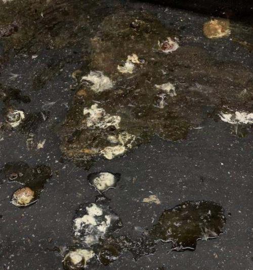 狼青拉稀的治疗药物及注意事项（帮您了解狼青拉稀使用的关键药物和预防措施）