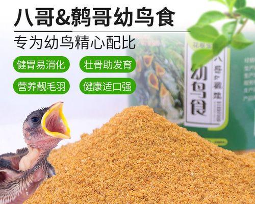 养幼八哥的注意事项（了解幼八哥的基本需求，助你成为合格的饲养者）