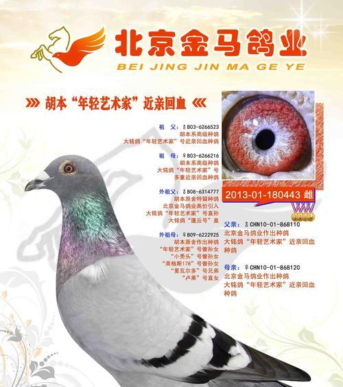 以狗近亲回血的意义与应用（提升品种纯度和遗传优势的新策略）