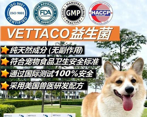 幼犬养护之益生菌的重要性（宠物健康的关键，益生菌给幼犬带来的益处）