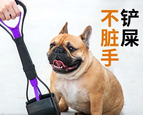 宠物便检查的重要性（了解宠物健康的一种方法）