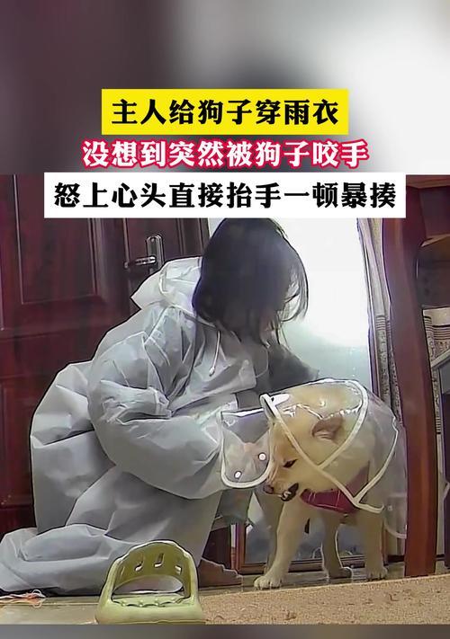 小狗为什么爱咬手？（探究小狗咬手行为背后的原因和解决方法）