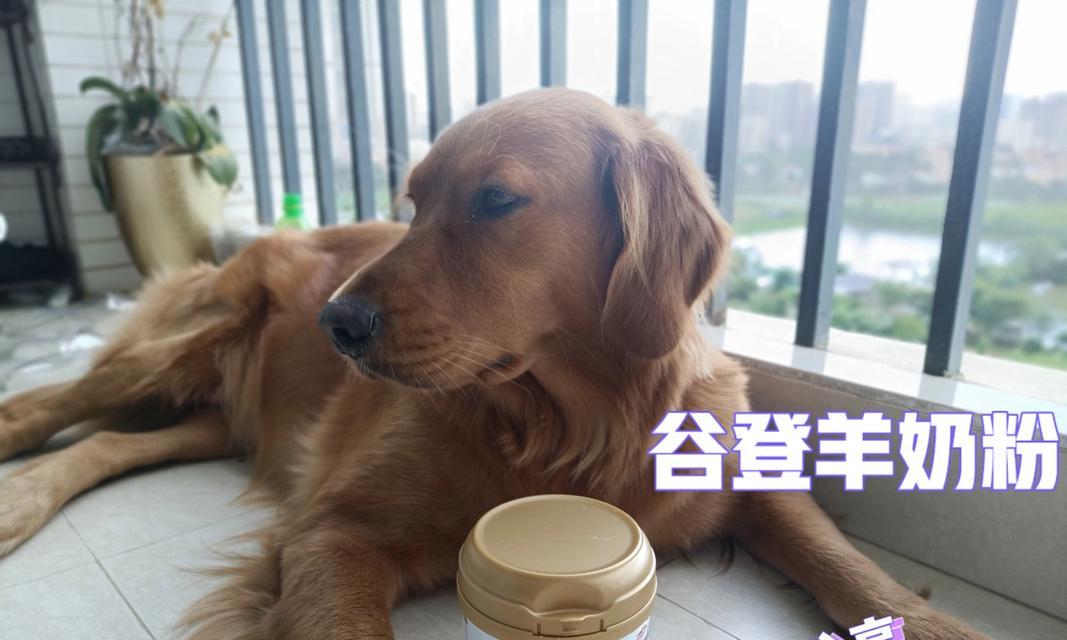 狗狗喝什么羊奶最适合？（了解狗狗的营养需求，选择合适的羊奶）