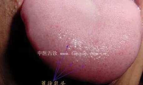 深入探讨舌苔的意义与相关健康问题（揭开舌苔的神秘面纱，了解健康状况）