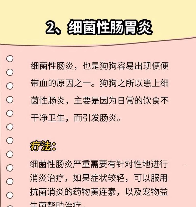急救狗狗便血的药物治疗方法（了解狗狗便血原因及正确使用药物进行治疗）