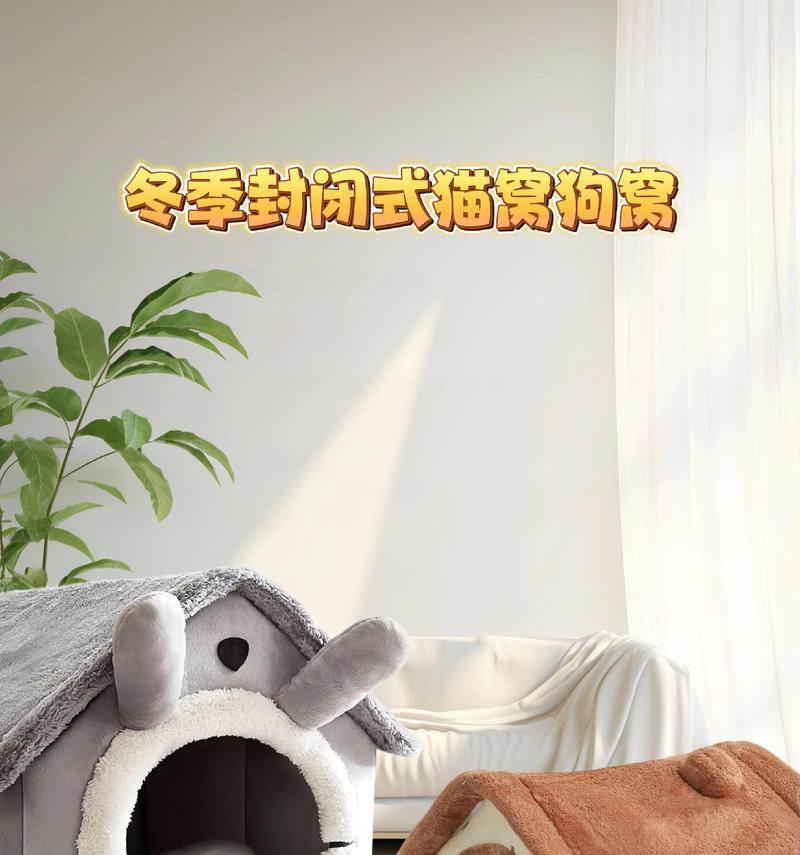 狗窝的最佳位置选择（为你的宠物提供一个舒适的栖息地）