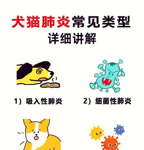 幼犬肺炎的药物治疗方法（有效药物治疗幼犬肺炎的关键）