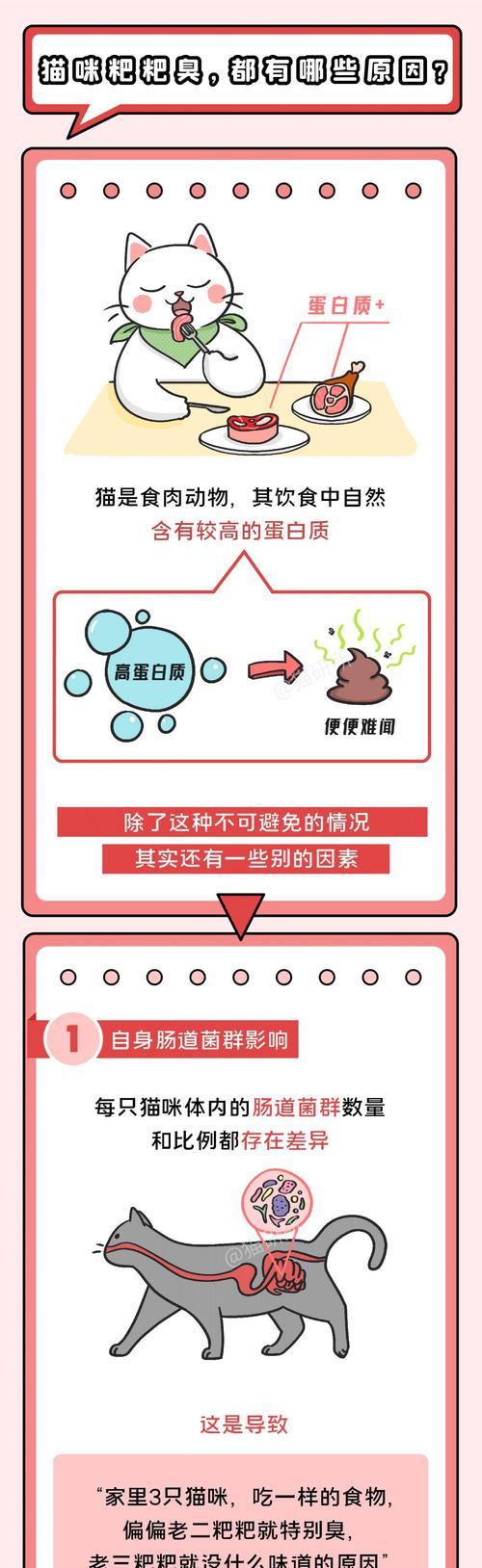 猫咪为什么抱着会臭？（探究猫咪抱着时发出异味的原因及解决方法）