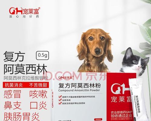 幼犬打喷嚏需要喝什么药？（药物选择关键因素及常见药物品种）