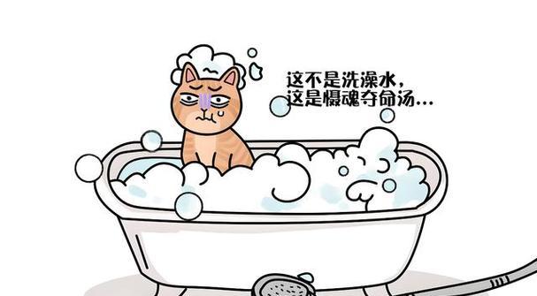 如何正确给幼猫洗澡（幼猫洗澡的注意事项与步骤）
