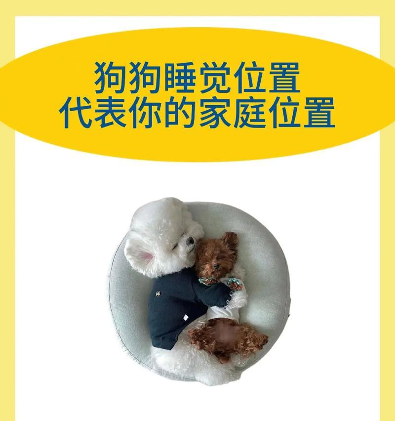 狗狗为什么爱睡觉？（探究狗狗喜欢睡觉的原因及其益处）