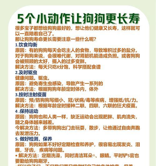 养狗配后的关键注意事项（让你的毛孩健康幸福的秘诀）