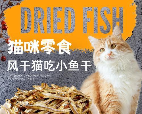 鱼猫的饮食习惯及推荐食物（宠物鱼猫喜欢吃什么？鱼猫饮食健康攻略）