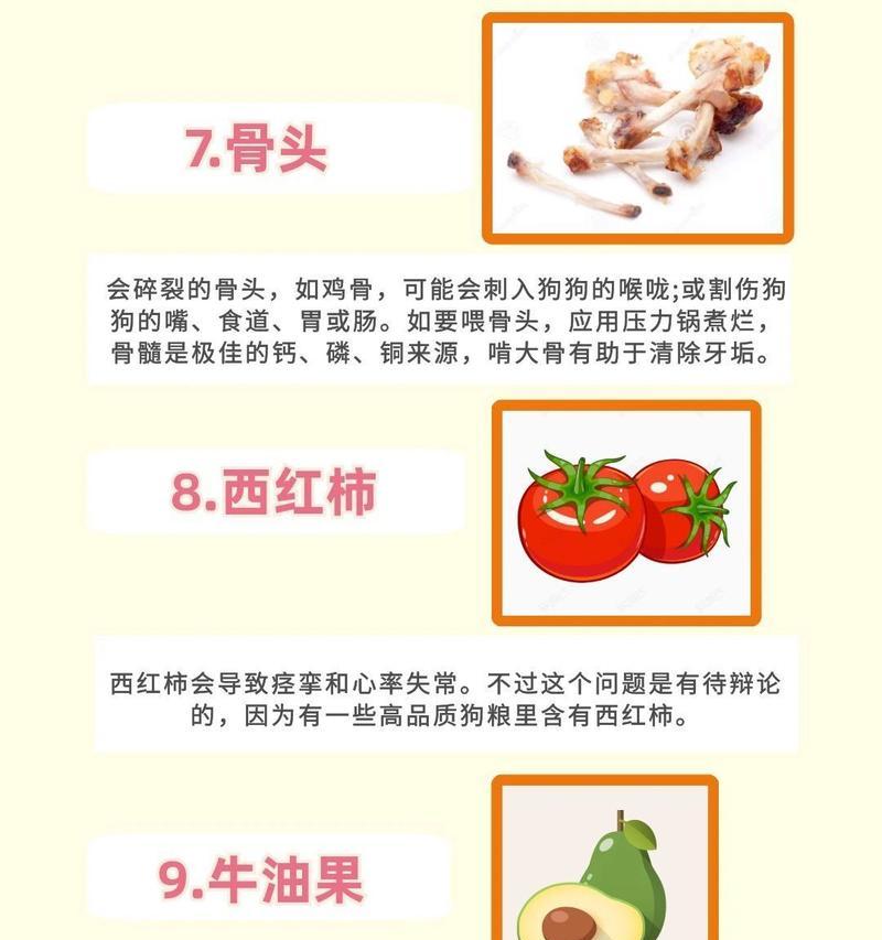 警惕！这些食物或致狗狗肾衰竭（狗狗肾衰竭的主要原因及预防方法）