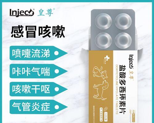 小狗咳嗽感冒的治疗方法（有效药物治疗小狗咳嗽感冒的5个关键）