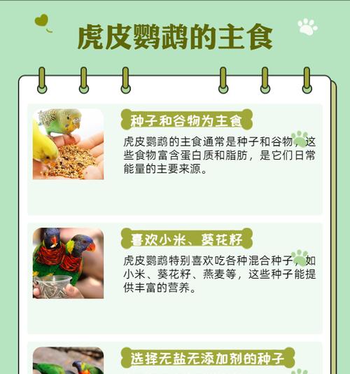 如何给一个月大的鹦鹉提供适当的饮食（为你的小鹦鹉提供健康的营养，让它茁壮成长）