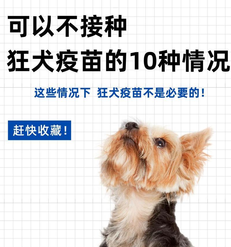 狗疫苗接种指南（选择合适的狗疫苗以保护宠物健康）