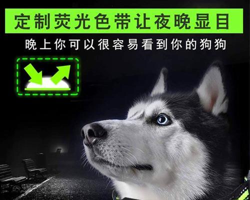 狗的叫声是否扰民？（以狗叫声频率及时间为考量，探讨扰民程度）