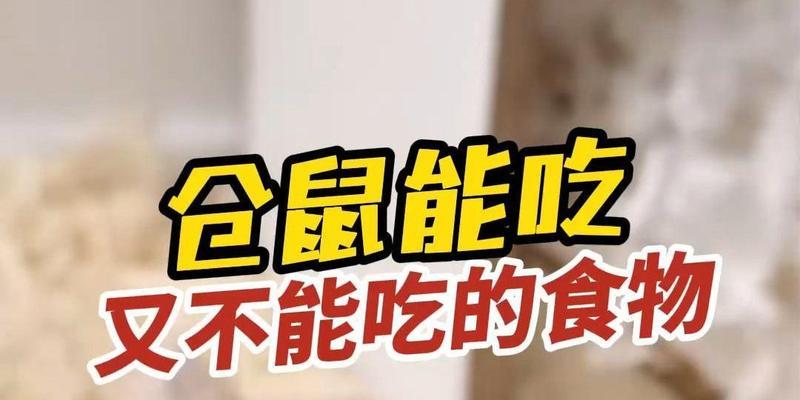 仓鼠产后食欲不振（了解仓鼠产后饮食习惯及应对措施）