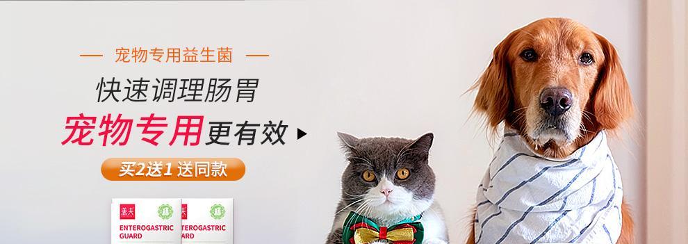 猫咪吃益生菌的好处（提高消化系统健康，增强免疫力）