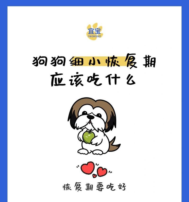 狗狗细小传染方式解析（了解细小传染的关键步骤及预防方法）