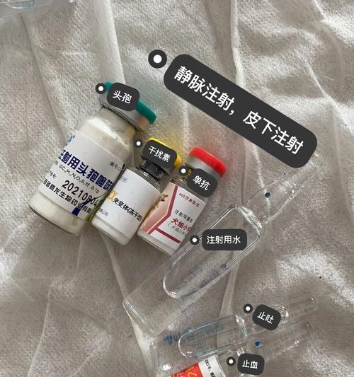 用药物来止吐小狗的方法（细小狗的呕吐问题及应对措施）